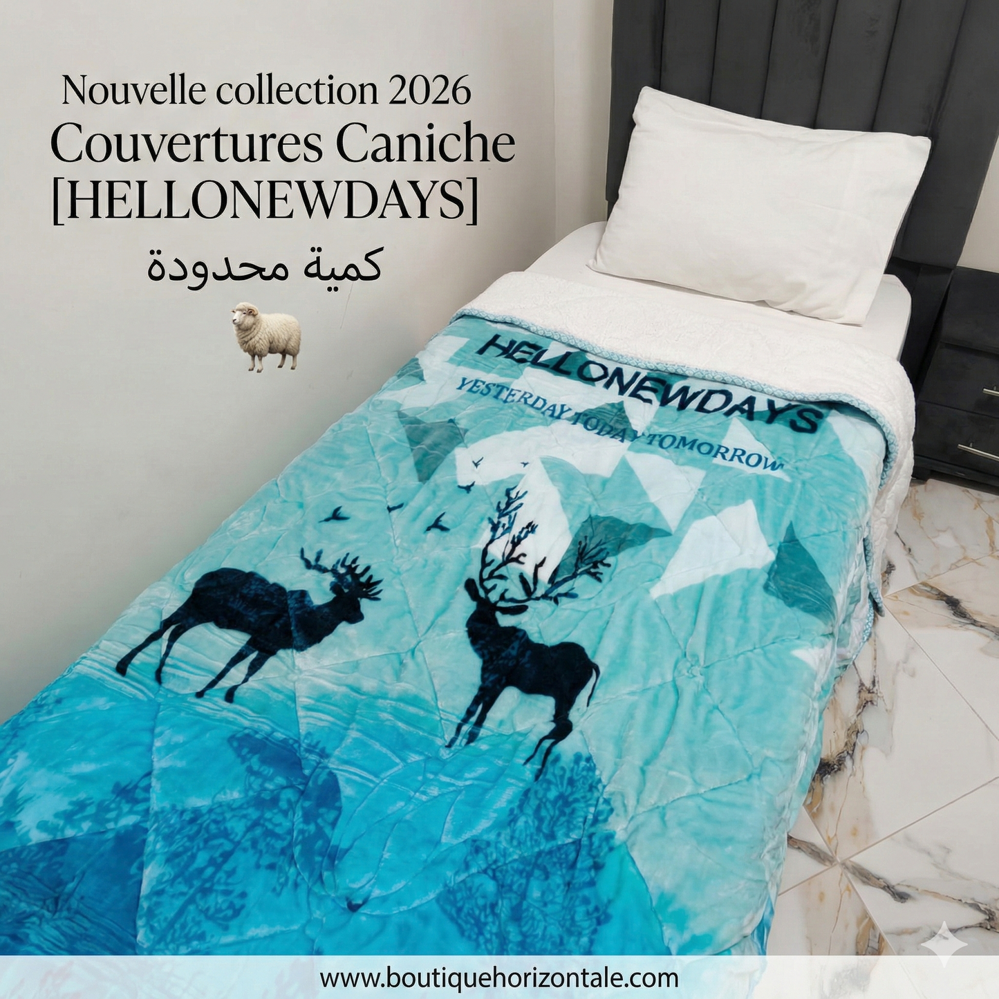 Couverture Caniche HELLONEWDAYS